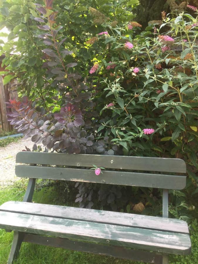 Pokoje Goscinne U Grazyny Ojcow Exterior foto