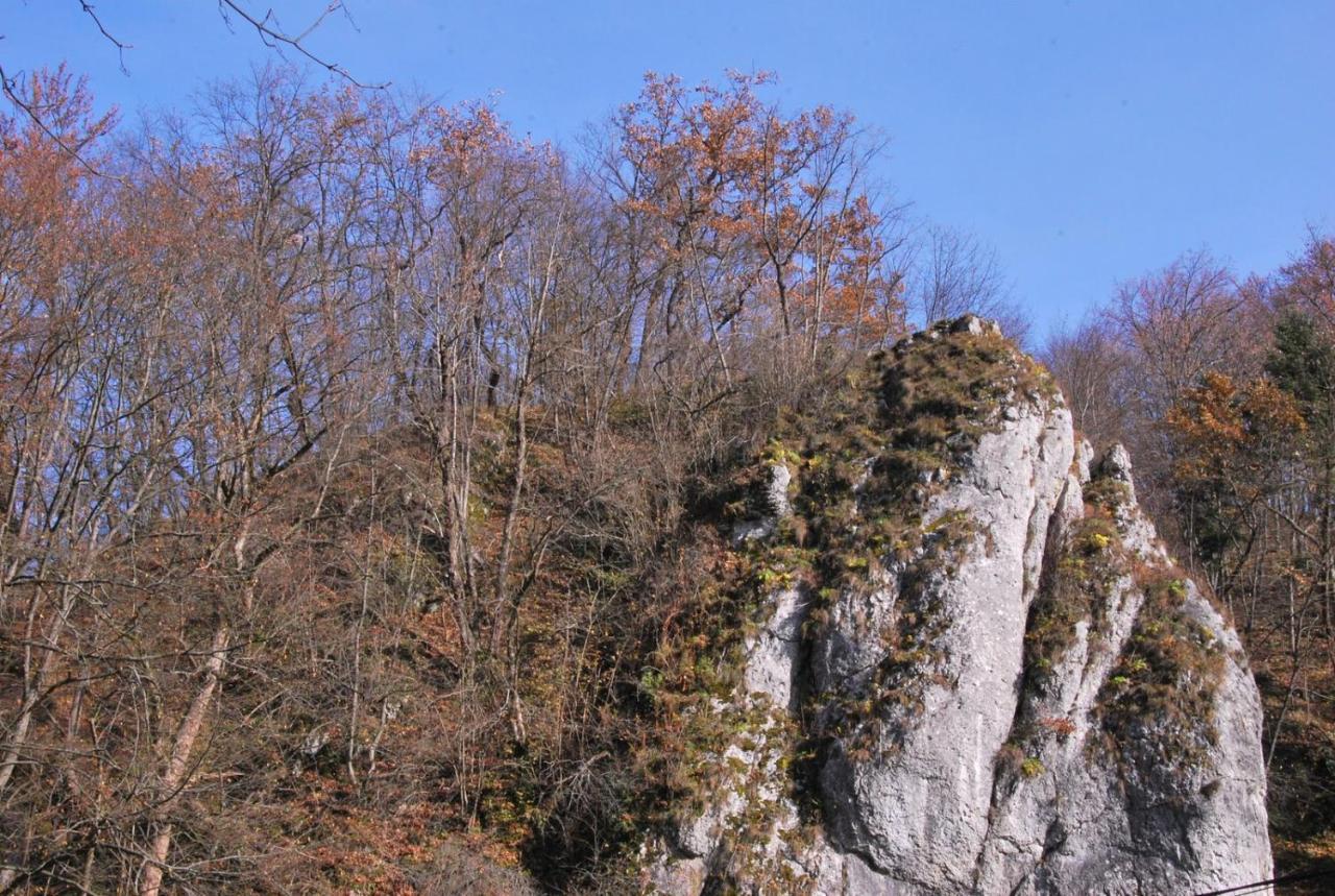 Pokoje Goscinne U Grazyny Ojcow Exterior foto